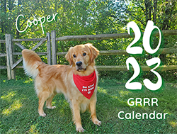Example cover of our 2024 Golden Retriever Calendar